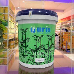 Sơn nội thất kinh tế Rubis 5L pha màu theo yêu cầu